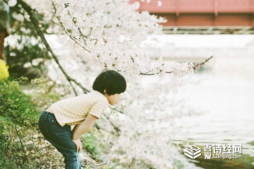 子涵名字的含义 子涵的来历是什么 子涵名字的含义 子涵的来历是什么